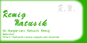 remig matusik business card